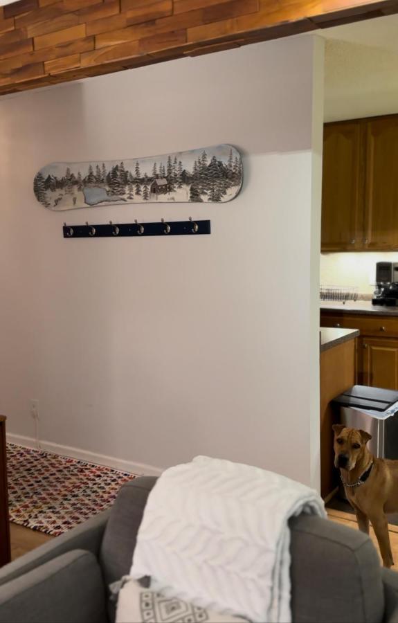 Beaver Creek 2 Bed 2 Bath Condo 1 Min Walk To Elk Lot Эйвон Экстерьер фото